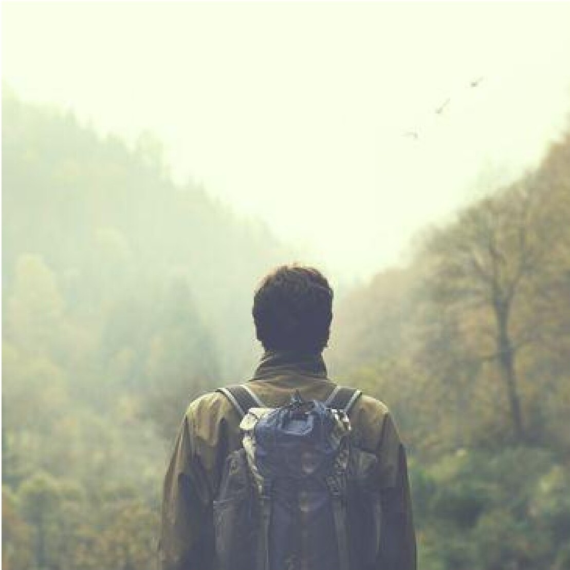 Person with backpack looking out at misty forest